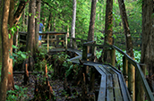 Forked Lake Campground
