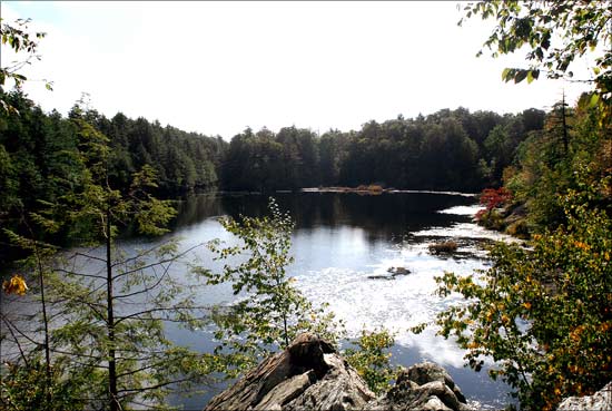  /focus/campgroundsandcampingreservationsnewyorkstateparks.html