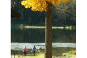 Photo: BOWMAN LAKE STATE PARK