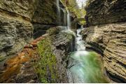 Photo: WATKINS GLEN STATE PARK