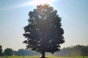 Photo: HAMLIN BEACH STATE PARK