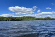 Photo: BROWN TRACT POND CAMPGROUND