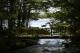 Photo: CHERRY PLAIN STATE PARK