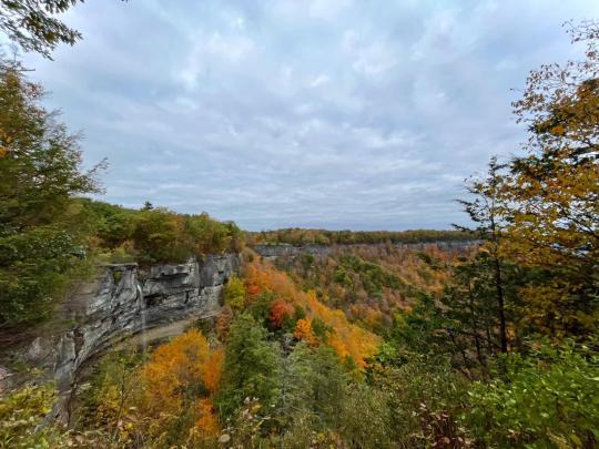 Thacher State Park campground in Albany County, New York