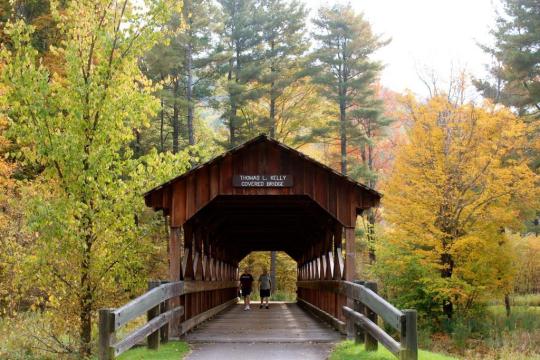 allegany state park hiking trails