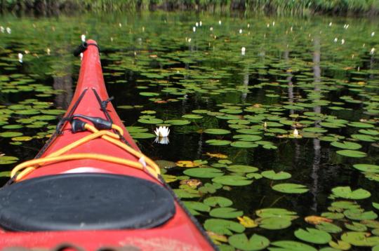 Campground Details MEADOWBROOK PUBLIC CAMPGROUND, NY New York State